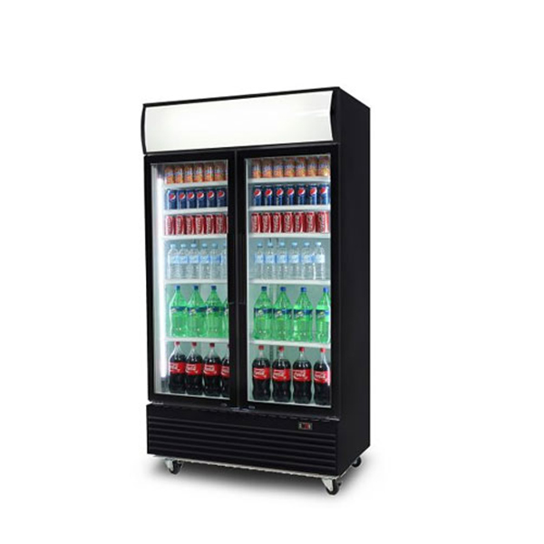 یخچال ایستاده دودرب